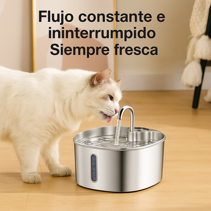 Dale a tu gato años de vida saludable extra con AquaPet
