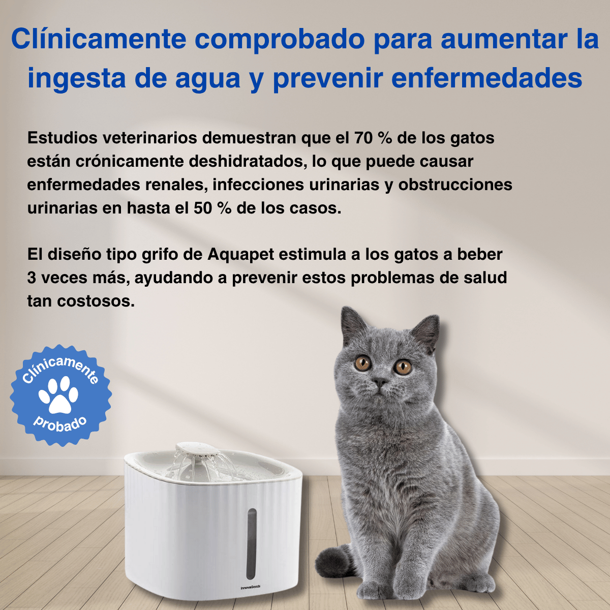 Dale a tu gato años de vida saludable extra con AquaPet