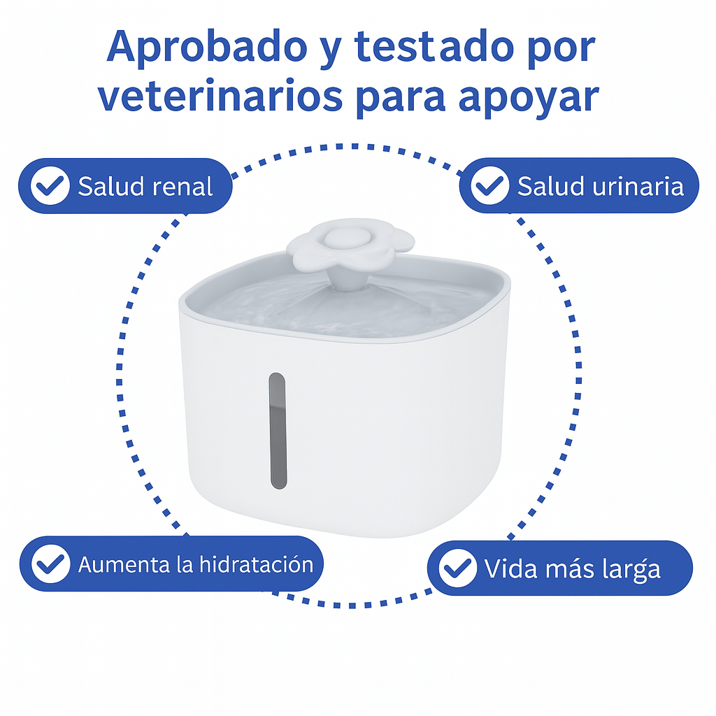 Dale a tu gato años de vida saludable extra con AquaPet