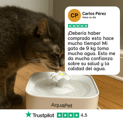 Dale a tu gato años de vida saludable extra con AquaPet