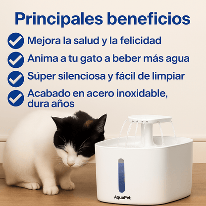 Dale a tu gato años de vida saludable extra con AquaPet