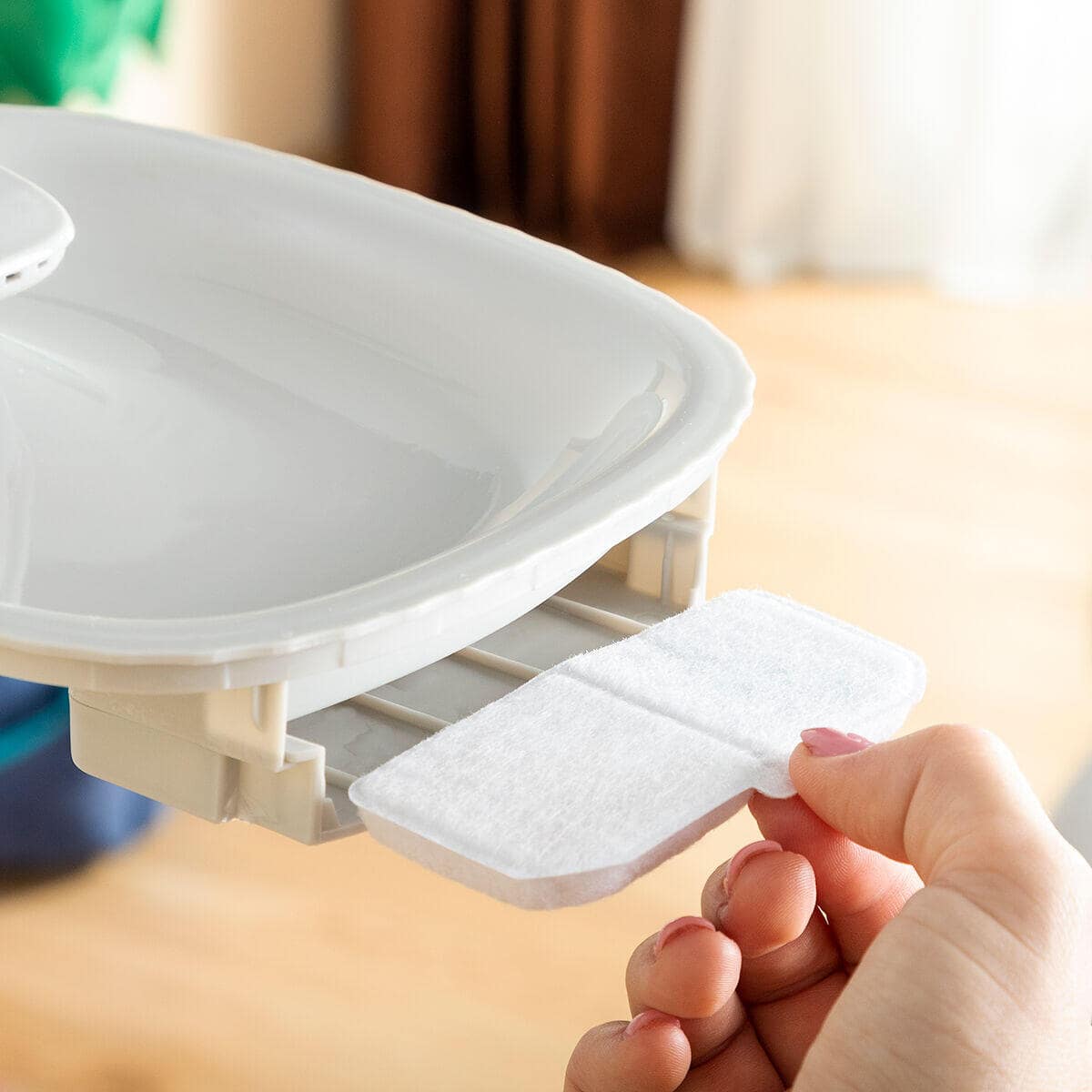 Dale a tu gato años de vida saludable extra con AquaPet - AquaPet