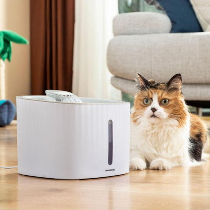 Dale a tu gato años de vida saludable extra con AquaPet - AquaPet